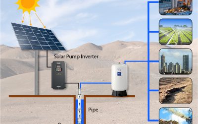 The Transformative Power of Solar Pumping Solutions