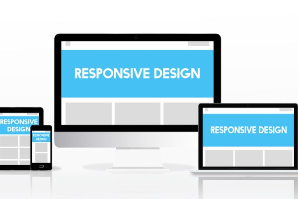 Custom Responsive and Dynamic Website.